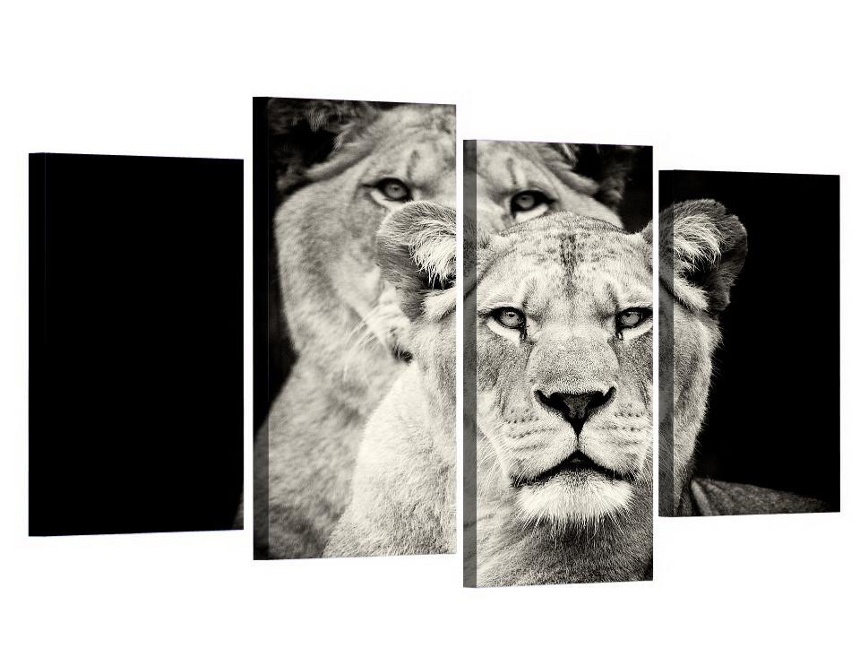 Les Lionnes | tableau | STIKEO.COM