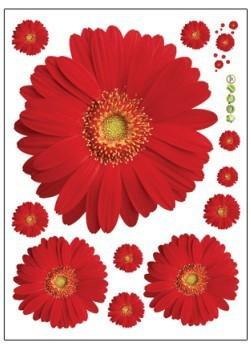 sticker mural - Marguerite du Transvaal - Gerbera | sticker mural | STIKEO.COM