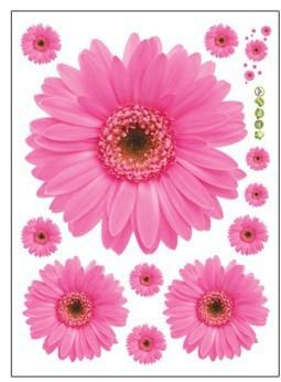 sticker mural - Marguerite du Transvaal - Gerbera | sticker mural | STIKEO.COM