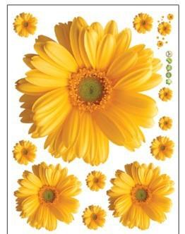 sticker mural - Marguerite du Transvaal - Gerbera | sticker mural | STIKEO.COM