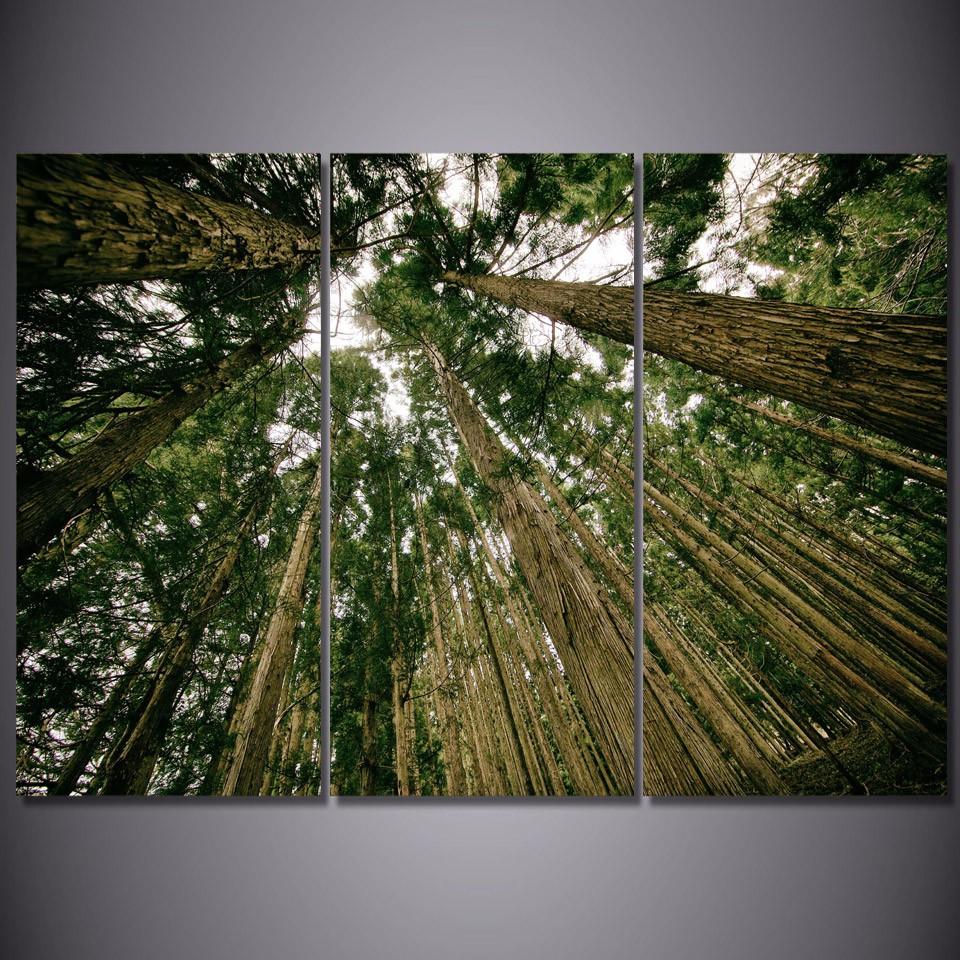 Green Forest | tableau | STIKEO.COM