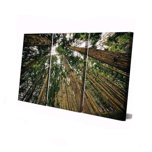 Green Forest | tableau | STIKEO.COM